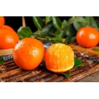 求購芒果. 枸杞子. 獼猴桃、柿餅. 蜜桔、臍橙、柚子、檸檬